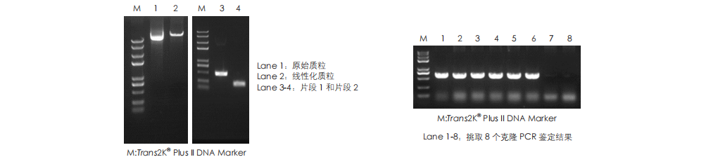 客戶反饋數(shù)據(jù)